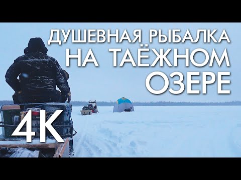 Видео: ДУШЕВНАЯ РЫБАЛКА НА ТАЕЖНОМ ОЗЕРЕ