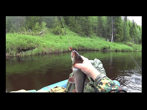 Видео: Рыбалка на крупного ХАРИУСА в Коми/сплав по таёжной речке/ловля хариуса в таёжной речке. Часть 1