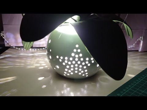 Видео: Орхидеи) часть 2