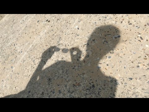 Видео: Тальник – Белый, белый, белый день