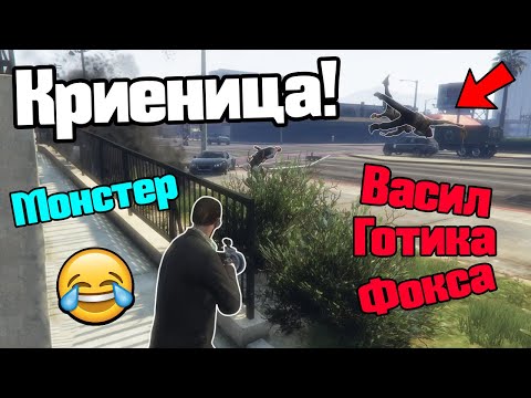 Видео: Гаражна Криеница!!!