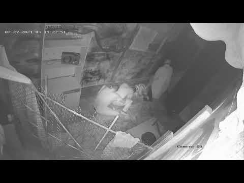 Видео: Чистилище