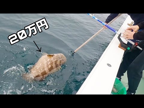 Видео: Наконец-то я поймал невероятную рыбу!