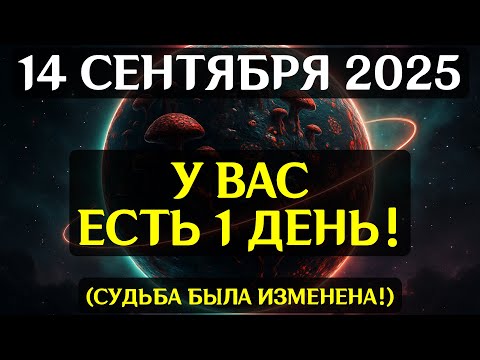 Видео: НЕВОЗМОЖНО ИГНОРИРОВАТЬ! 14 СЕНТЯБРЯ ОТКРОЮТСЯ ТАЙНЫЕ ВРАТА СУДЬБЫ — РЕАЛЬНОСТЬ ИЗМЕНИТСЯ!