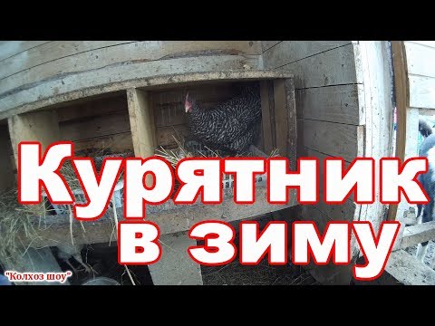 Видео: Курятник в зиму/Просто, дешево, эффективно