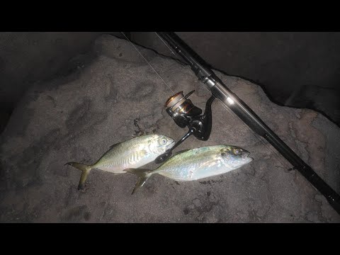 Видео: 11.4.22. Вечерний джиг. Морская рыбалка