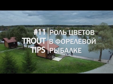 Видео: Trout Tips #11. Роль цветов в форелевой рыбалке