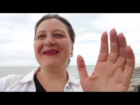 Видео: НОЧЕВАЛИ 🛌 НА ГРАНИЦЕ. НЕ  ПУСТИЛИ ТУРЦИЯ  И ГРУЗИЯ🚗🐕🦮ГРАНИЦА ТУРЦИЯ/ГРУЗИЯ/АРМЕНИЯ