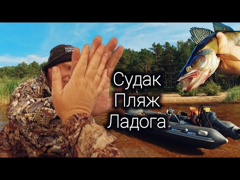 Видео: Рыбалка на судака на Ладоге, кормим рыбок, пляж #рыбалка #ладога #fishing #пляж #судак #троллинг 