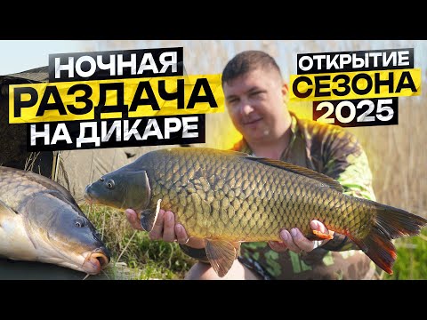 Видео: Вот это раздача на дикаре! Приехали за карасем, а поймали карпа. Открытие сезона 2025