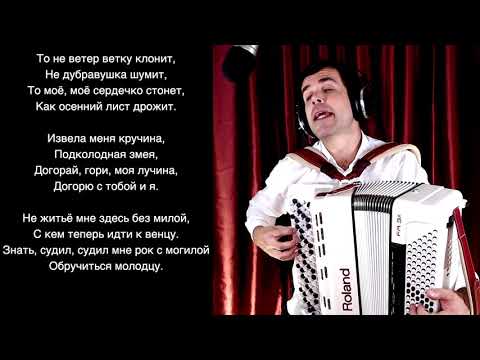 Видео: 🎵 Русская народная песня - ТО НЕ ВЕТЕР ВЕТКУ КЛОНИТ