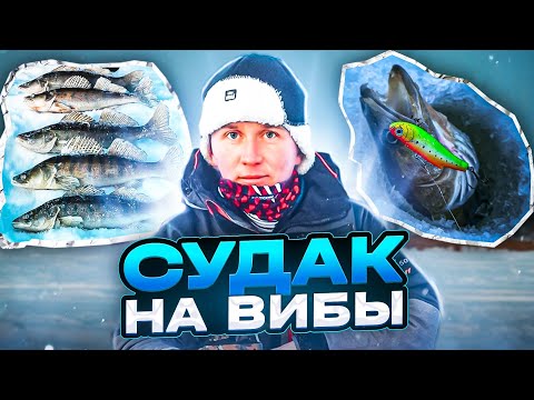 Видео: Кама. Рыбалка на ратлины. Ловим судака НЕ в толпе)