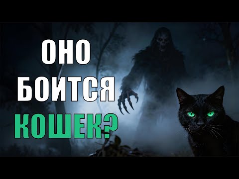 Видео: ОНО БОИТСЯ КОШЕК???