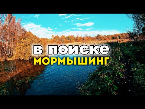 Видео: В поисках РЫБАЦКОГО ЭЛЬДОРАДО #мормышинг #микроджиг #nanojig #рыбалка #щука #fishing