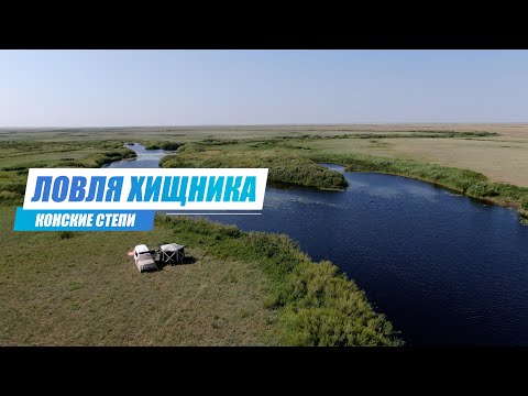 Видео: Рыбалка на Хищника в Карагандинской Области. Конские Степи