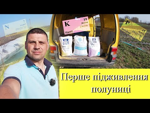 Видео: Перше підживлення полуниці