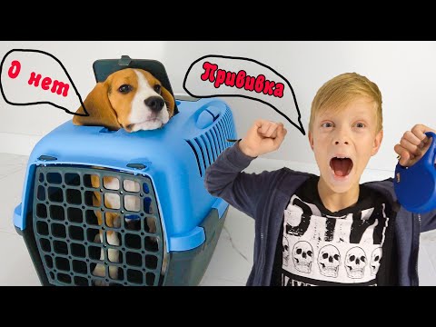 Видео: Щенку Bros Show Делают прививку. Его ПОВЕДЕНИЕ в ветеринарной клинике.