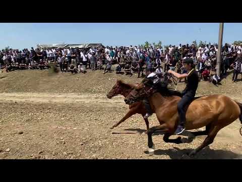 Видео: Скачки в Хасавюрте, 2-й заезд 3 круга