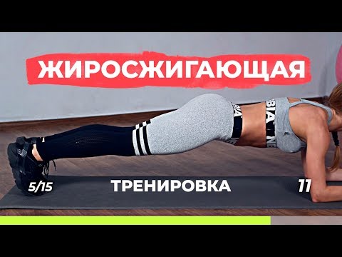 Видео: Жиросжигающая тренировка для похудения дома, без дополнительного оборудования
