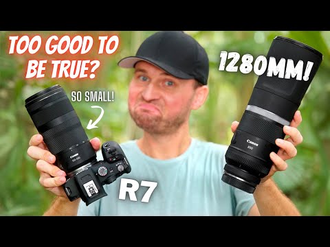 Видео: Это лучший выбор для съёмки дикой природы за ваши деньги? | Обзор Canon RF 800 и RF 100-400 STM и R7