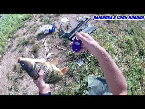 Видео: Как поймать карпа,карася на манку.