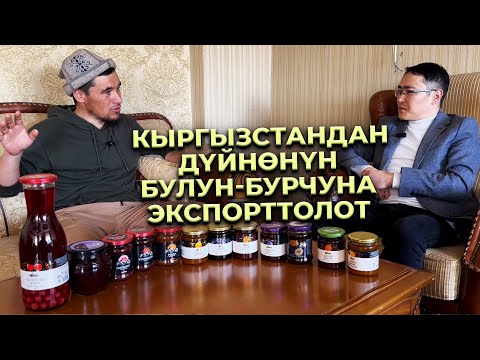 Видео: Карагат, чычырканактын мөмөлөрүн каякка сатабыз дегендерге жооп?