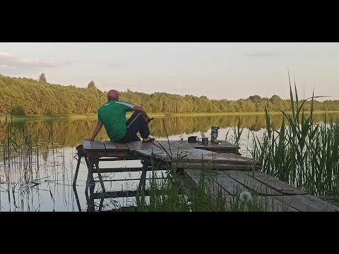 Видео: Велопутешествие по Витебской области. Часть 1: Витебск   Бешенковичи