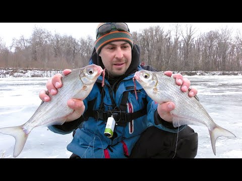 Видео: Поставив Донки на Десні. Ловля на Балансир
