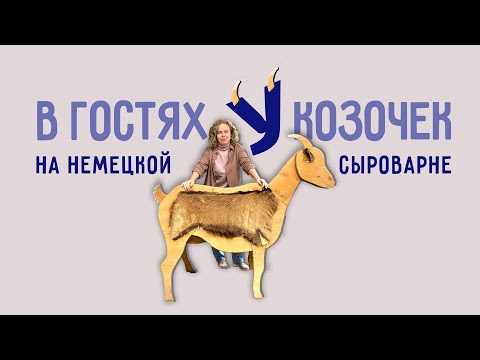 Видео: Сыроварня в Германии. Экскурсия на козью сыроварню. Käserei