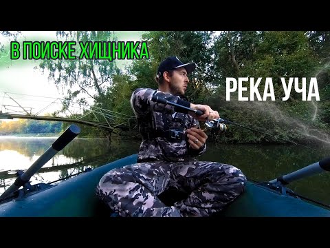 Видео: Сплав по реке Уча| Разведка мест| Ловля окуня и щуки на спиннинг| Река Уча спиннинг с лодки|