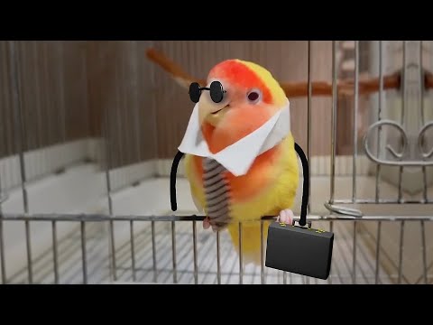 Видео: Рисунки от LeopARTnik — жизнь становится лучше с рисунками