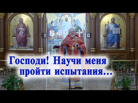 Видео: Господи! Научи меня пройти испытания... Проповедь священника Георгия Полякова.