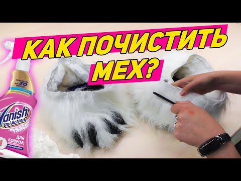 Видео: Как почистить искусственный мех костюма белого медведя