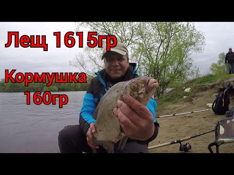 Видео: БЮТЖЕТНЫЙ ФИДЕР ЗА 1365 Falcons Power и ЛЕЩ на 1615 #рыбалка2023 #лещ #рыбалкакруглыйгод #фидер