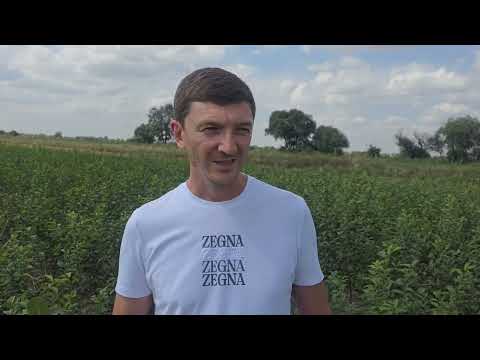 Видео: В гостях известный агро блогер @Ангурвабоғ
