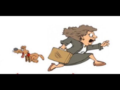 Видео: Ф7 Швидкість відносна Задачі