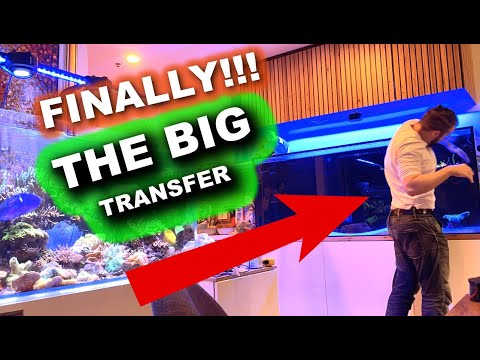 Видео: Наконец-то! БОЛЬШОЙ ПЕРЕХОД