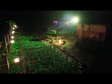 Видео: УДИВИТЕЛЬНЫЙ! Собирайте липкую кукурузу, чтобы продать ее на рынке, и жарьте кукурузу веселым