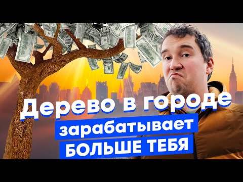 Видео: Как деревья делают дома дороже и снижают преступность? 10 необычных эффектов от озеленения города