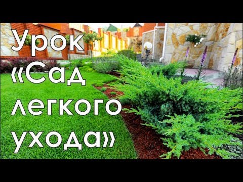 Видео: Сад легкого ухода | Курсы ландшафтного дизайна в Новосибирске | GARDEN BOOM