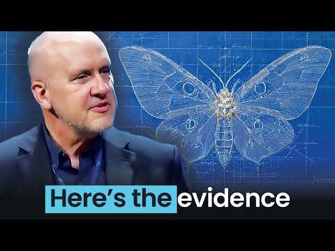 Видео: Бабочка была создана