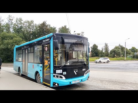 Видео: Автобус, маршрут №284 Volgabus-4298.G4 (LNG) б.6843 (14.09.2022) Санкт-Петербург/Сергиево