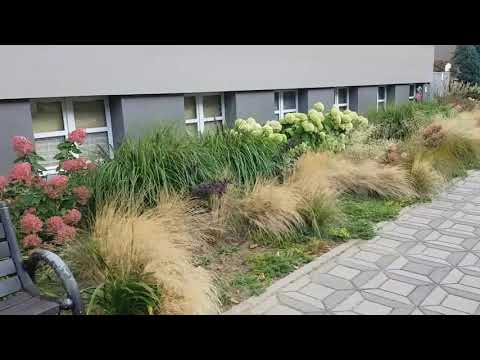 Видео: ПОЛЬША! РЫБНИК! БАЗИЛИКА! ПРОГУЛКА!ОСЕННИЙ ГАРДЕРОБ!