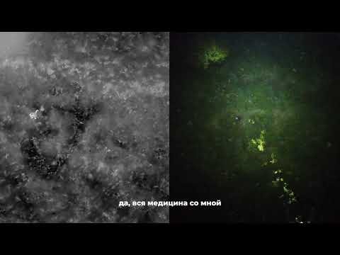 Видео: Поиски пожилой женщины с помощью дрона, оборудованного тепловизором. Нижегородская область