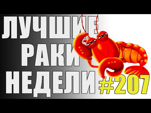 Видео: ЛРН выпуск №207 👁 ПОДНИМИТЕ МНЕ ВЕКИ! 👁  [Лучшие Раки Недели]