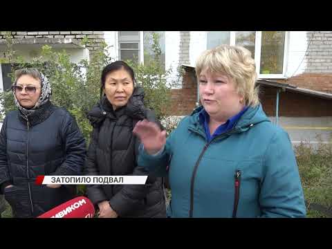 Видео: В Улан-Удэ подвал многоквартирного дома превратился в инкубатор для насекомых