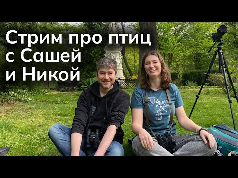 Видео: Стрим про птиц с Сашей Борзенко и Никой Самоцкой