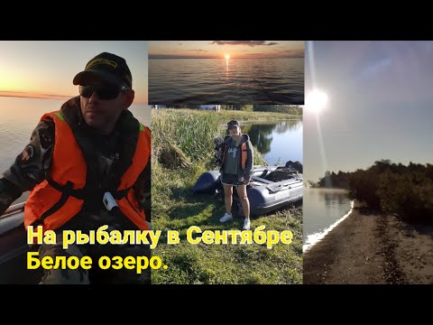 Видео: На Белое озеро в Сентябре.#Судак #Рыбачим_на_Белом_озере