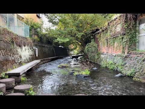 Видео: Прогулка по Мисиме, Сидзуока, Япония [4K HDR]