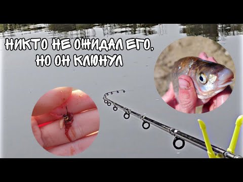 Видео: РЕКА СОЖ В ГОМЕЛЕ НАЧАЛА РАЗДАВАТЬ. РЫБАЛКА В КОНЦЕ МАЯ. ПОКЛЁВКИ КРУПНЫМ ПЛАНОМ. РЫБАЛКА 2023 ГОДА.